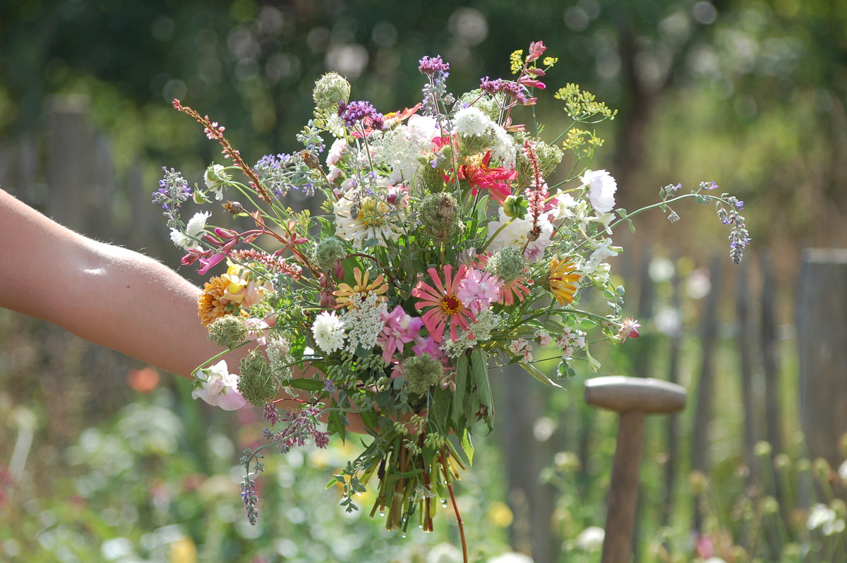 Zadenmix: Pluktuin in een zakje GEEL ROZE - Bloemenzaad voor lang bloeiende bloemen