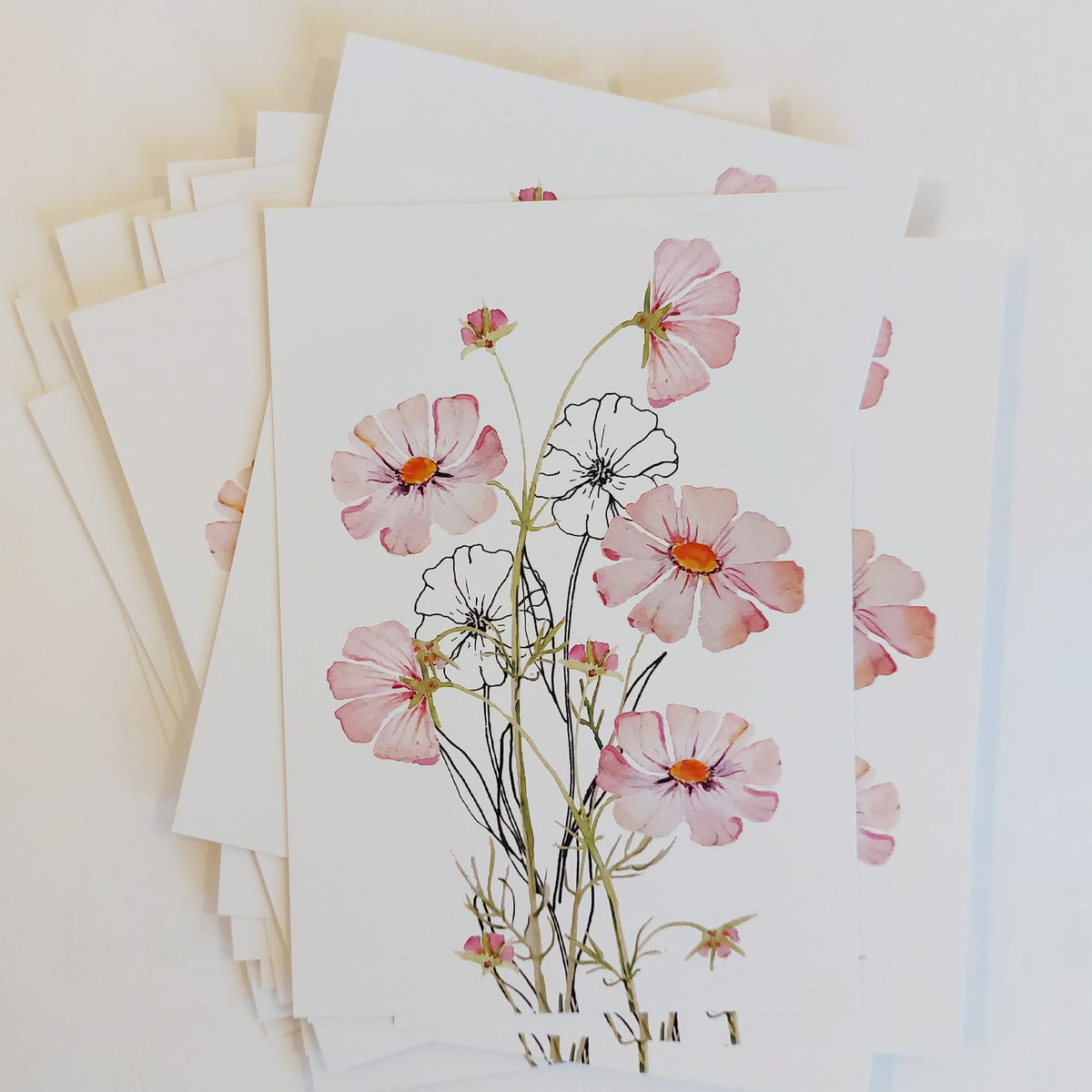 Ansichtkaart Cosmea