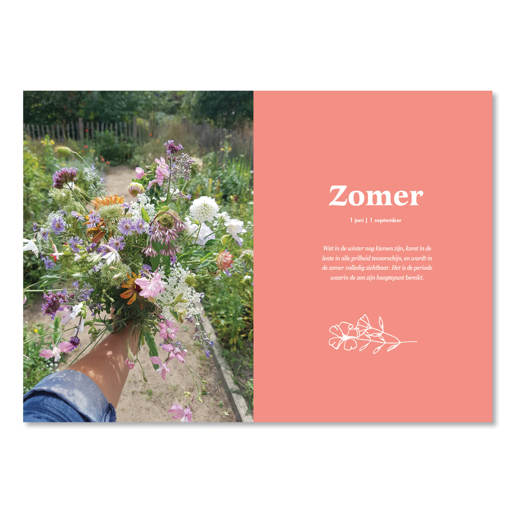 Boek De Pluktuin