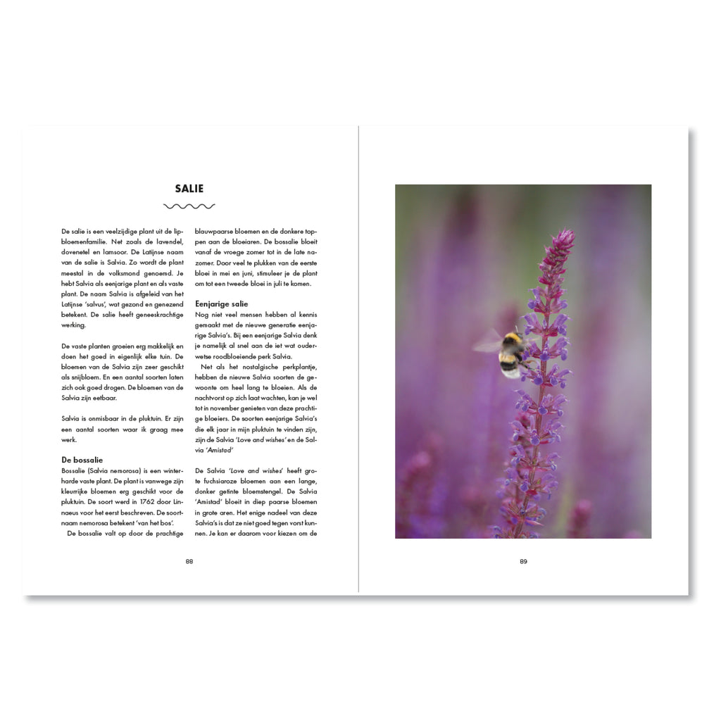 Boek De Pluktuin
