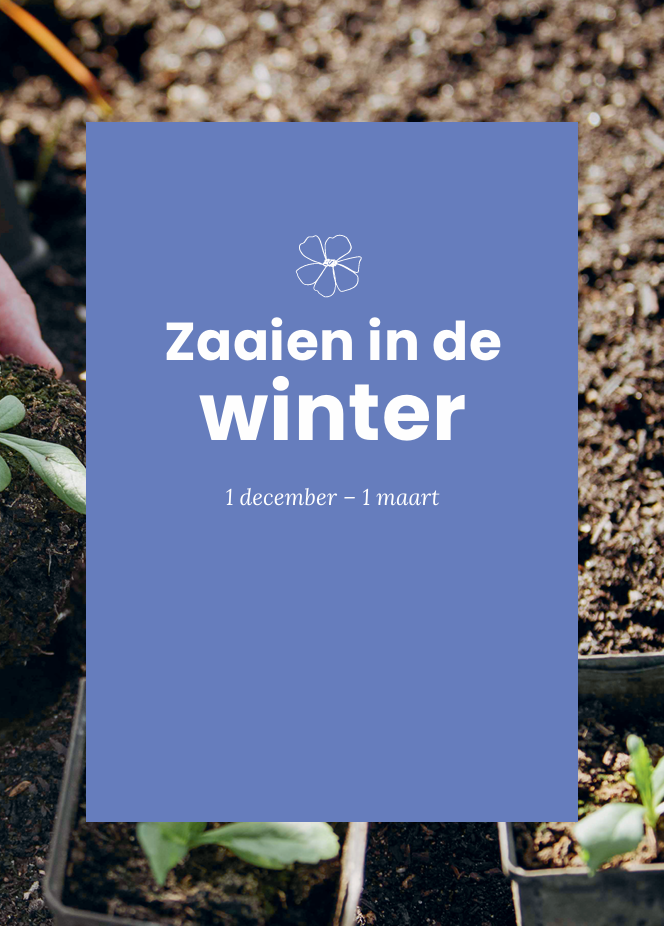 Boek Bloemen zaaien