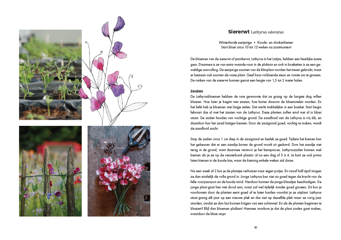 Boek Bloemen zaaien