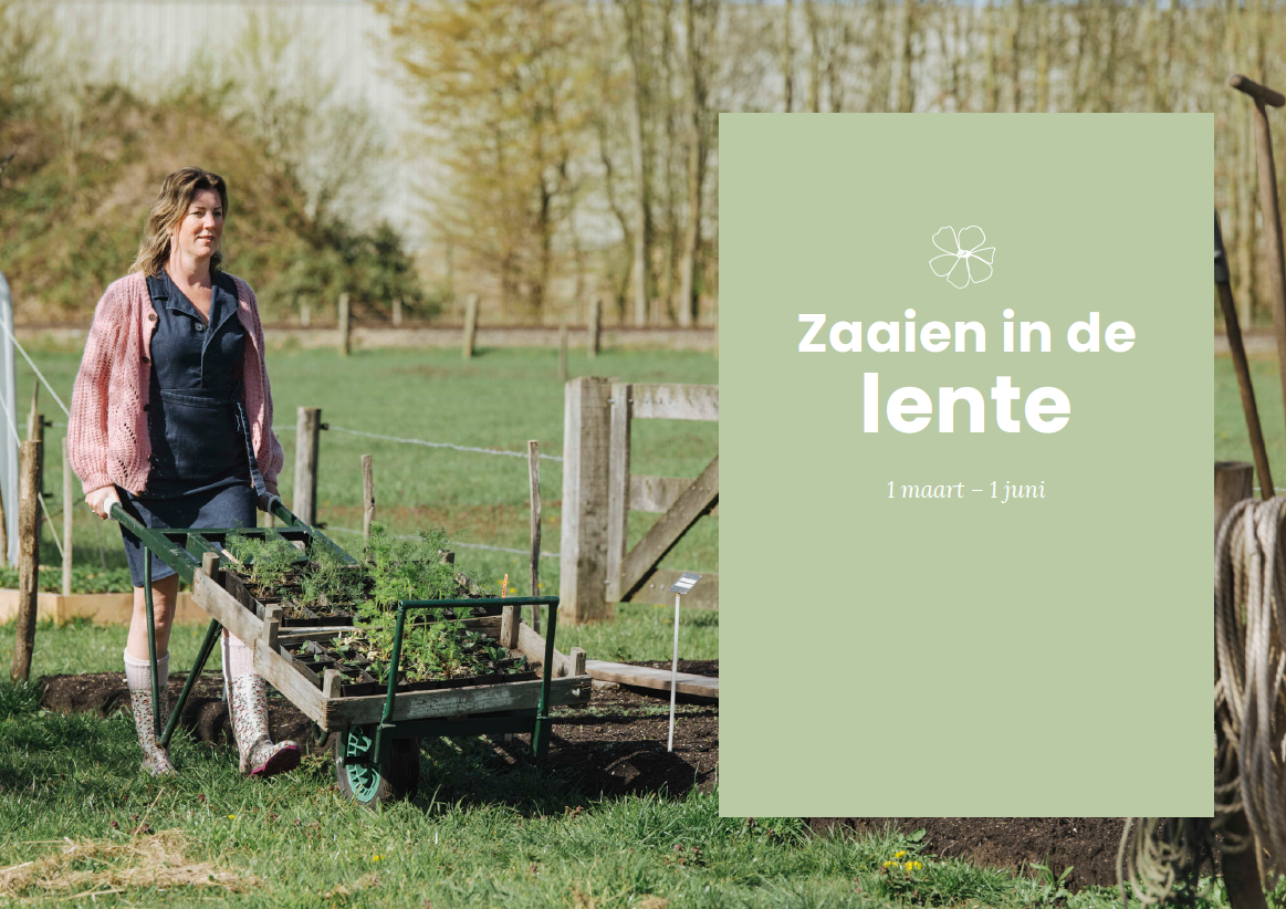Boek Bloemen zaaien