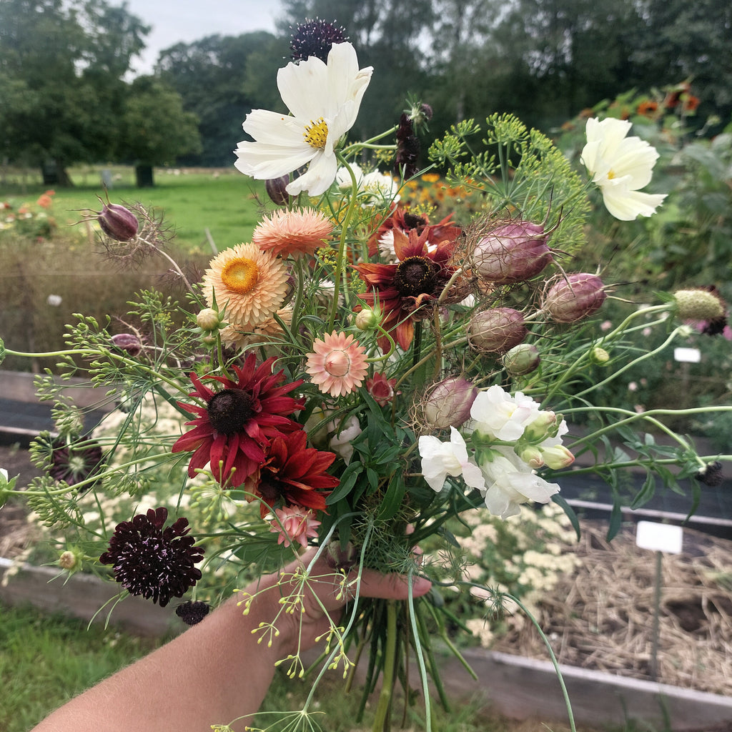 Zaaipakket pluktuin COPPER - Bloemenzaad voor een uitbundige tuin